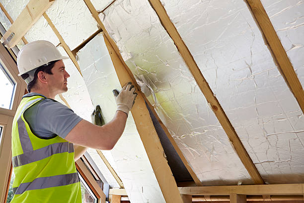 Best Residential Insulation in Ortonville, MI